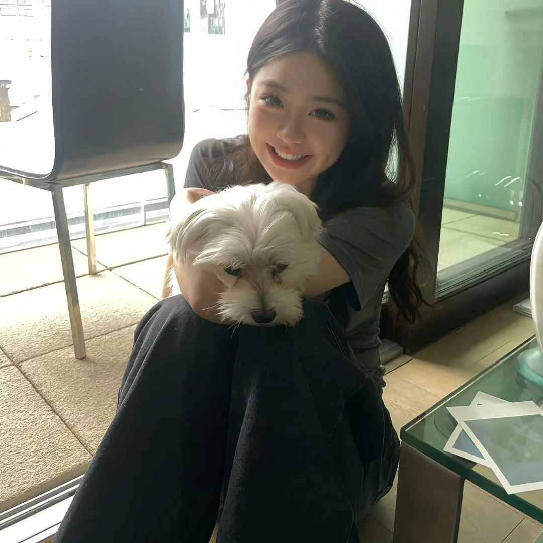 龙精仔猛
